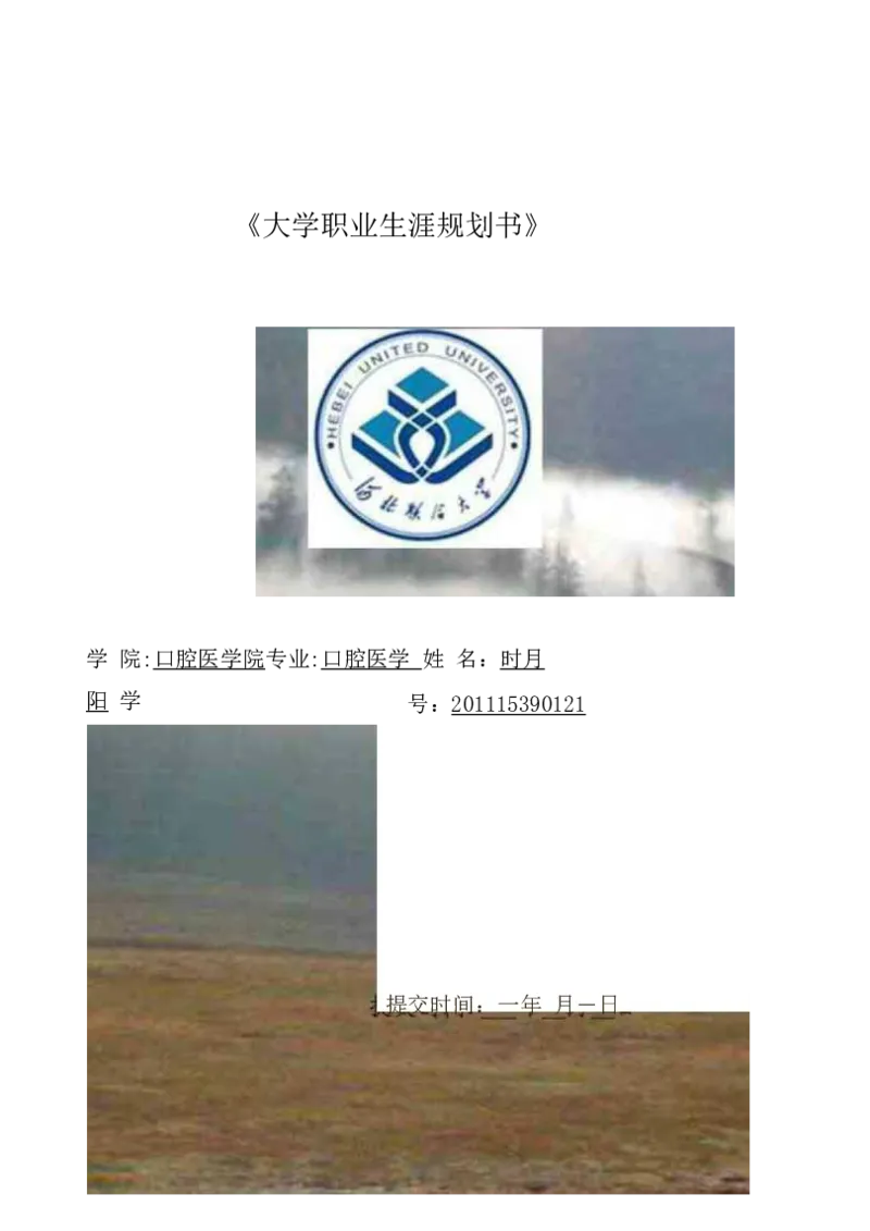 口腔医学大学生职业生涯规划书_E6-职业规划_83口腔医学