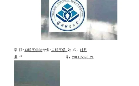 口腔医学大学生职业生涯规划书_E6-职业规划_83口腔医学