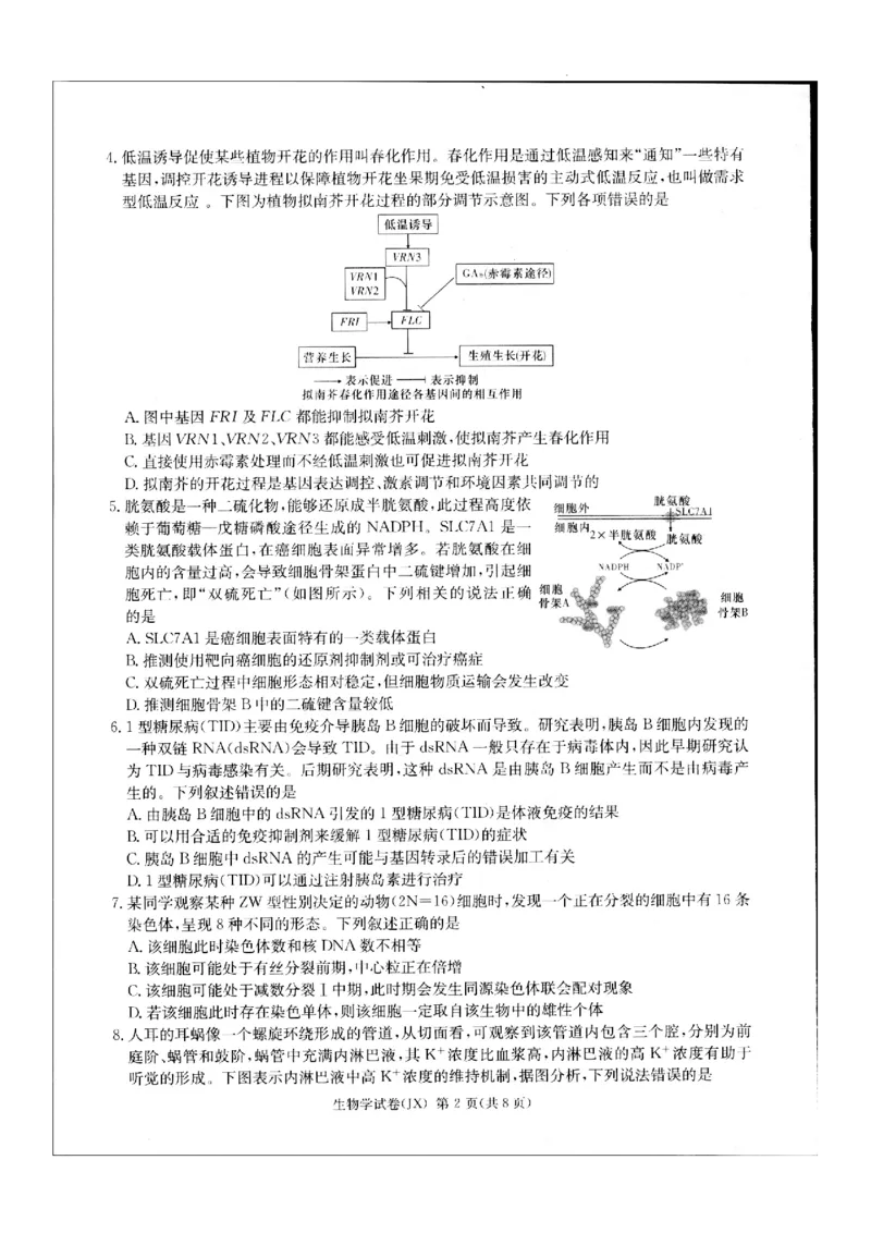 2024届新高考教学教研联盟高三第二次联考试卷生物_2024年4月_01按日期_9号_2024届湖南长郡十八校新高考教研联盟高三第二次联考