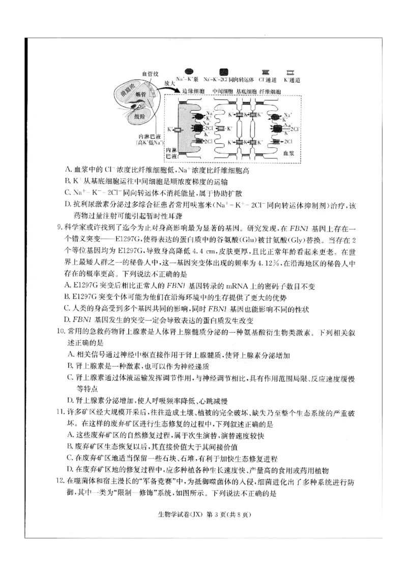 2024届新高考教学教研联盟高三第二次联考试卷生物_2024年4月_01按日期_9号_2024届湖南长郡十八校新高考教研联盟高三第二次联考
