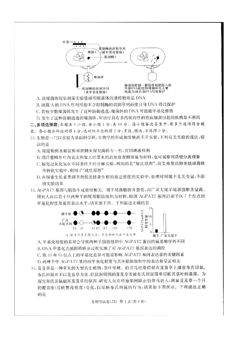 2024届新高考教学教研联盟高三第二次联考试卷生物_2024年4月_01按日期_9号_2024届湖南长郡十八校新高考教研联盟高三第二次联考