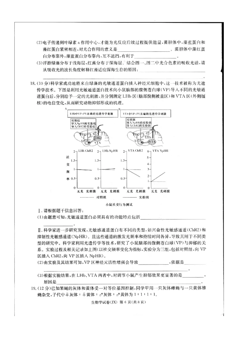 2024届新高考教学教研联盟高三第二次联考试卷生物_2024年4月_01按日期_9号_2024届湖南长郡十八校新高考教研联盟高三第二次联考
