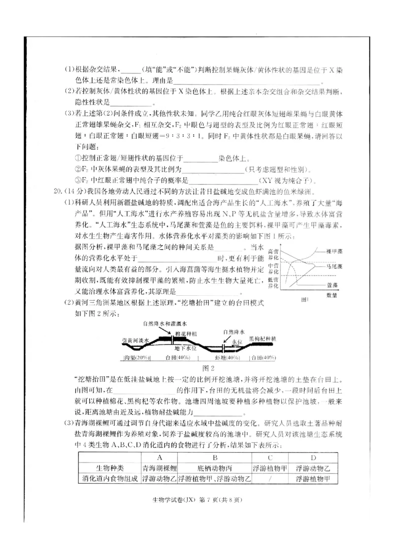 2024届新高考教学教研联盟高三第二次联考试卷生物_2024年4月_01按日期_9号_2024届湖南长郡十八校新高考教研联盟高三第二次联考