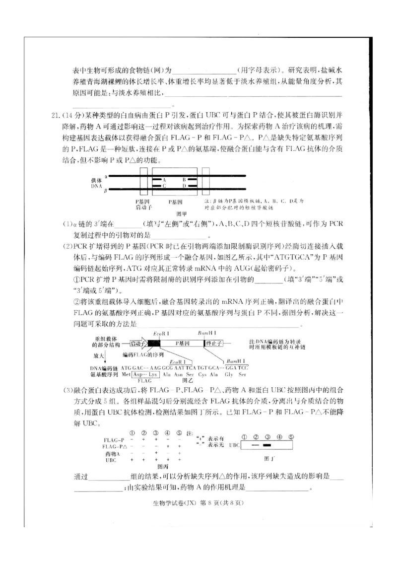 2024届新高考教学教研联盟高三第二次联考试卷生物_2024年4月_01按日期_9号_2024届湖南长郡十八校新高考教研联盟高三第二次联考