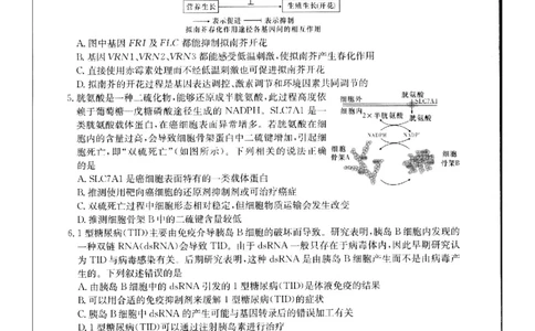 2024届新高考教学教研联盟高三第二次联考试卷生物_2024年4月_01按日期_9号_2024届湖南长郡十八校新高考教研联盟高三第二次联考