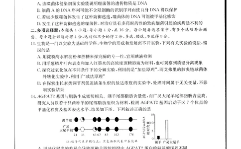 2024届新高考教学教研联盟高三第二次联考试卷生物_2024年4月_01按日期_9号_2024届湖南长郡十八校新高考教研联盟高三第二次联考