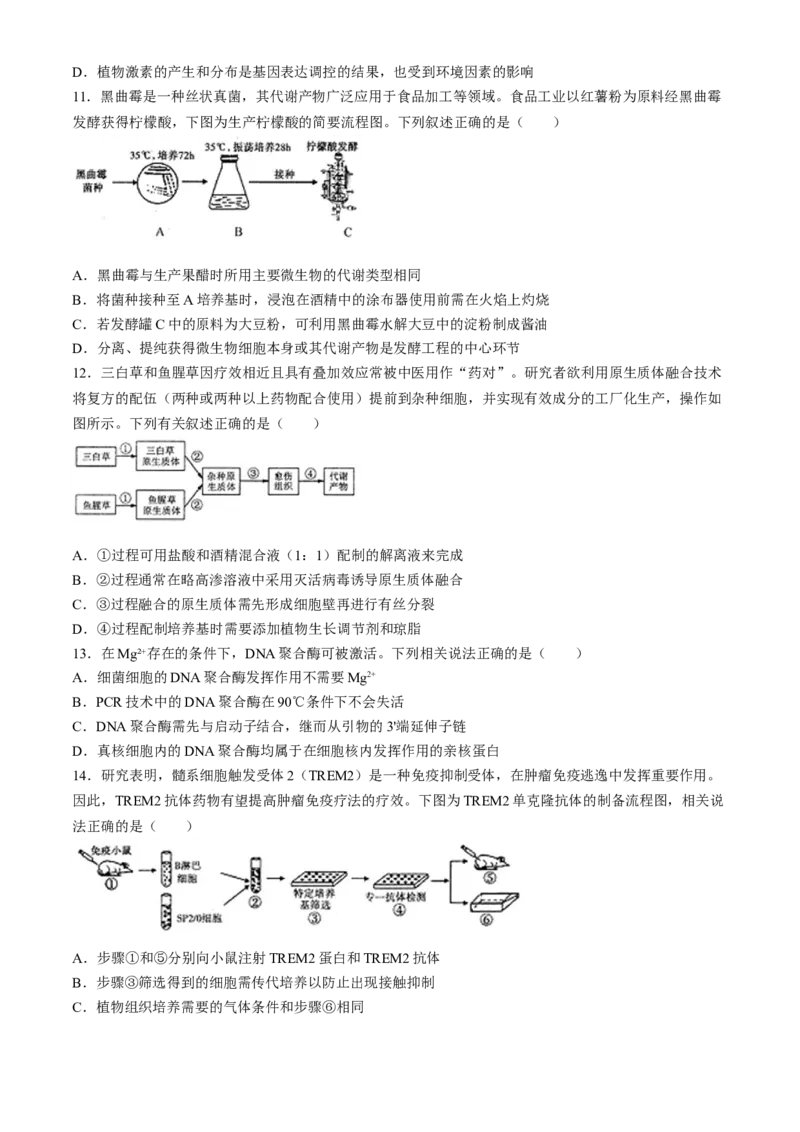 2024届江苏省南通市如皋市高三下学期二模生物试题(1)_2024年4月_024月合集_2024届江苏省南通如皋高三下适应性考试(二)(南通2.5模）