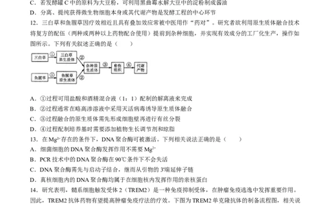 2024届江苏省南通市如皋市高三下学期二模生物试题(1)_2024年4月_024月合集_2024届江苏省南通如皋高三下适应性考试(二)(南通2.5模）