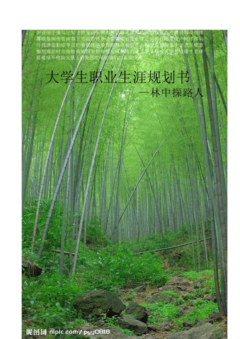 大学生职业生涯规划书.王丹_E6-职业规划_95通用范本