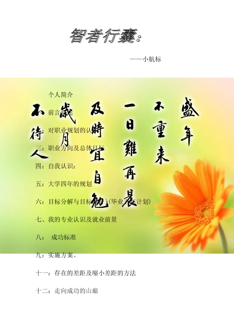 大学生职业生涯规划书.王丹_E6-职业规划_95通用范本