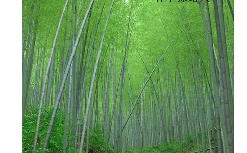 大学生职业生涯规划书.王丹_E6-职业规划_95通用范本