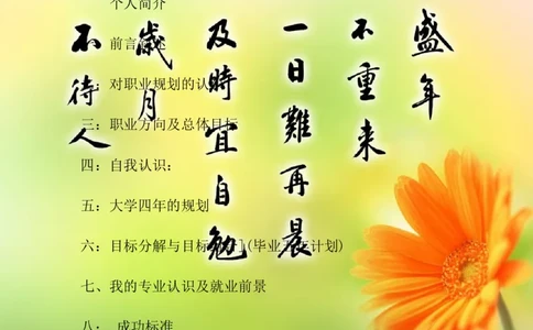 大学生职业生涯规划书.王丹_E6-职业规划_95通用范本