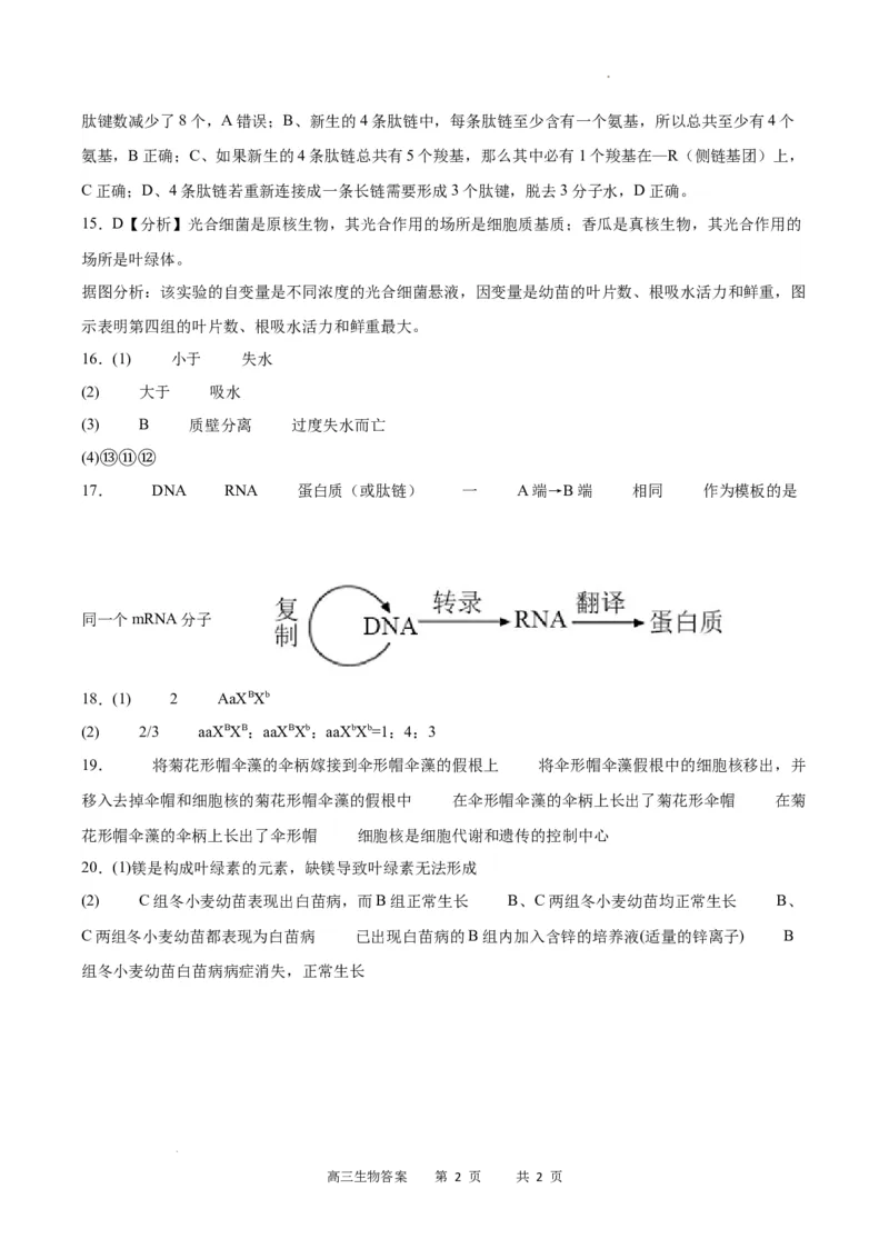 生物答案_2023年9月_01每日更新_26号_2024届重庆市缙云联盟高三上学期9月联考_重庆市缙云联盟2024届高三上学期9月联考生物