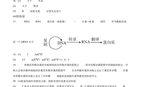 生物答案_2023年9月_01每日更新_26号_2024届重庆市缙云联盟高三上学期9月联考_重庆市缙云联盟2024届高三上学期9月联考生物