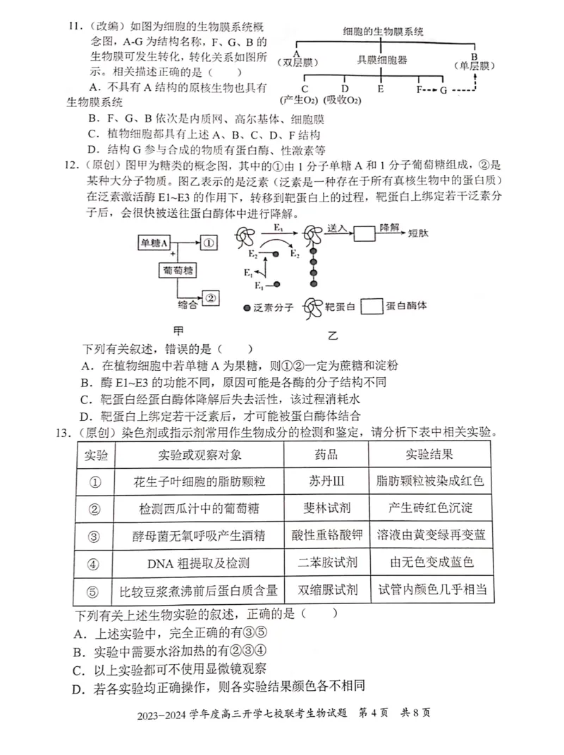 重庆市七校2023-2024学年高三上学期开学考试生物试题_2023年9月_01每日更新_3号_2024届重庆市七校高三上学期开学考试_重庆市七校2024届高三上学期开学考试生物