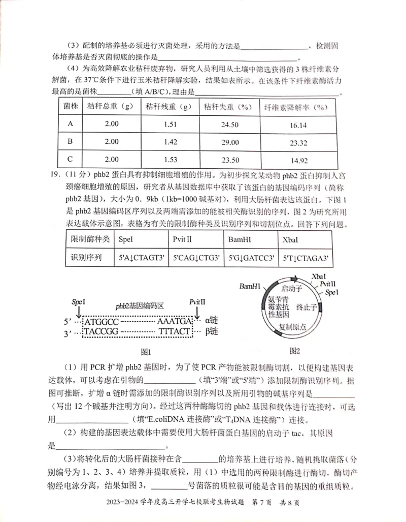 重庆市七校2023-2024学年高三上学期开学考试生物试题_2023年9月_01每日更新_3号_2024届重庆市七校高三上学期开学考试_重庆市七校2024届高三上学期开学考试生物