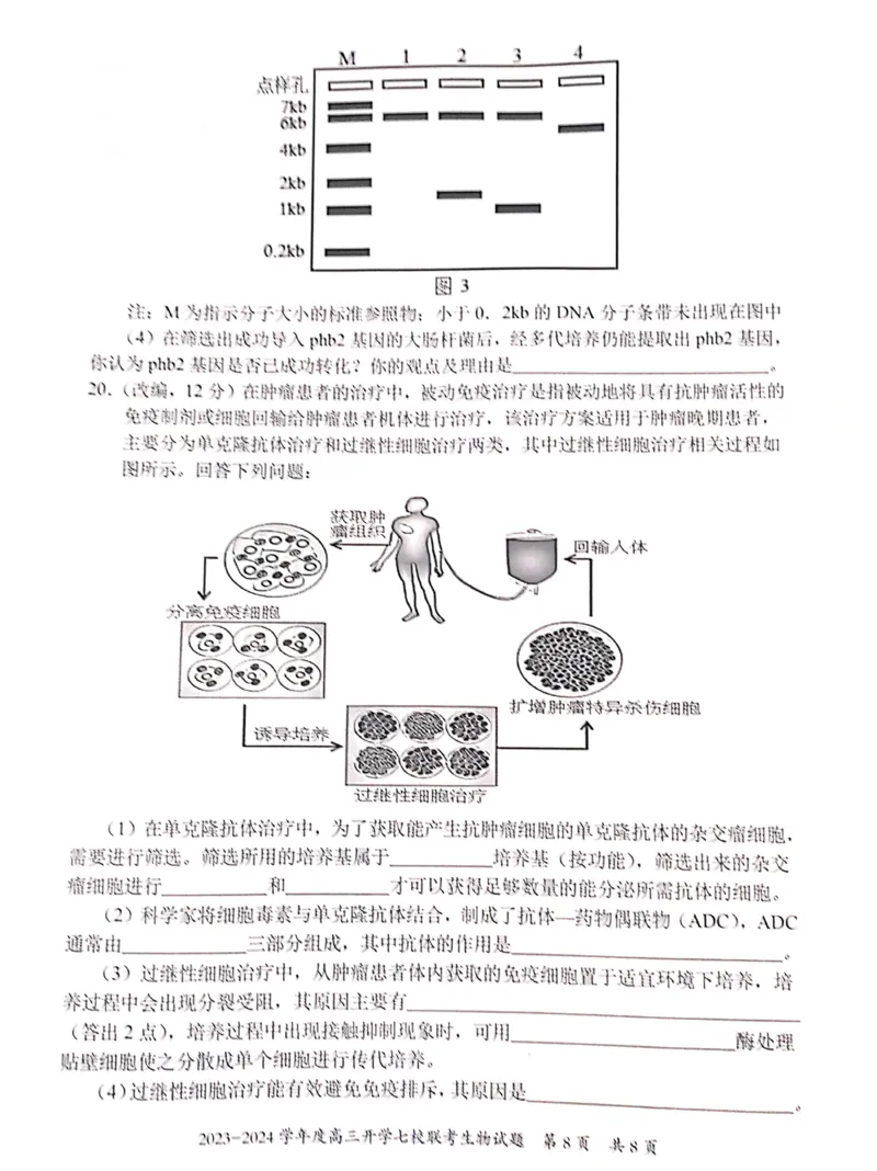 重庆市七校2023-2024学年高三上学期开学考试生物试题_2023年9月_01每日更新_3号_2024届重庆市七校高三上学期开学考试_重庆市七校2024届高三上学期开学考试生物