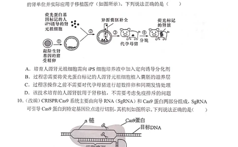 重庆市七校2023-2024学年高三上学期开学考试生物试题_2023年9月_01每日更新_3号_2024届重庆市七校高三上学期开学考试_重庆市七校2024届高三上学期开学考试生物