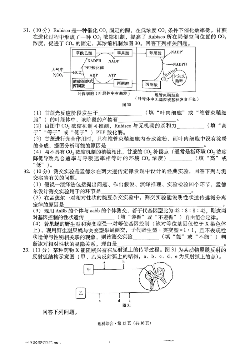 2024届云南省3+3+3高考备考诊断性联考二试卷及答案_2024年4月_01按日期_13号_2024届云南广西贵州&ldquo;3+3+3&rdquo;高考备考诊断性联考(二)_2024届云南省高三下学期3+3+3第二次联考模拟预测理综试题