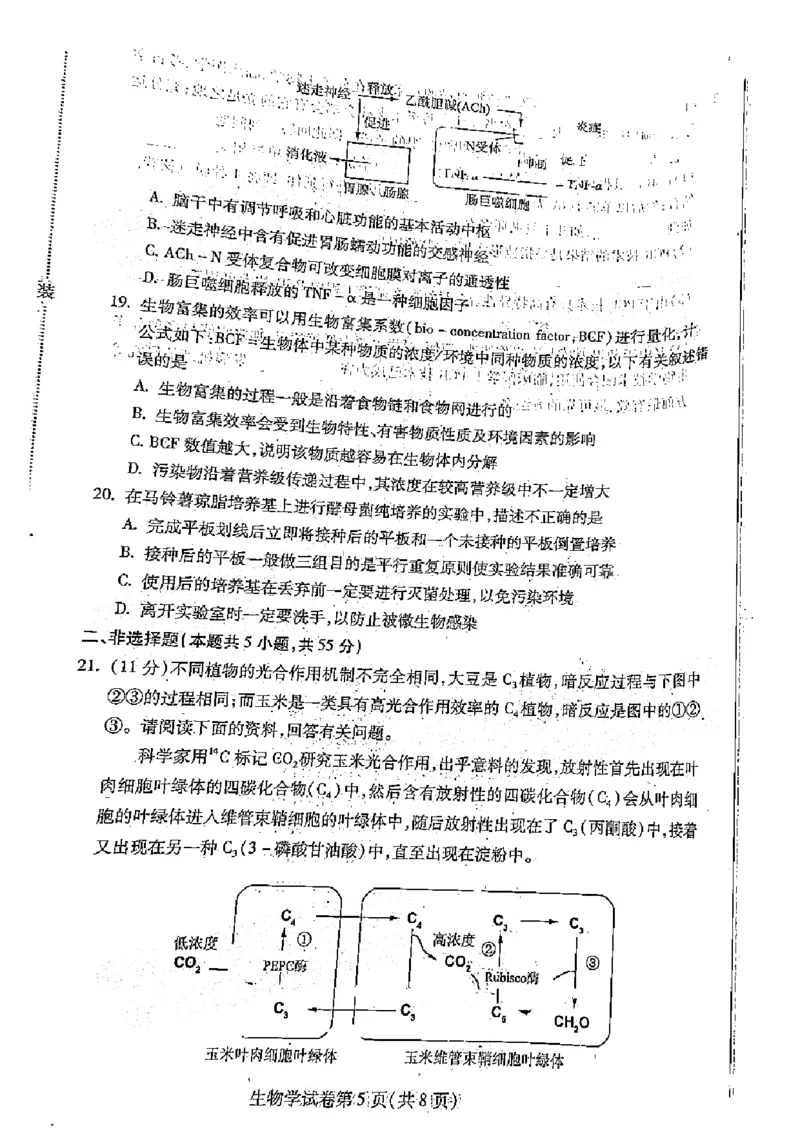 黑龙江省哈尔滨市2022-2023学年高三上学期学业质量监测生物试题(1)_2023年7月_027月合集_2023届黑龙江省哈尔滨市高三8月学业质量监测