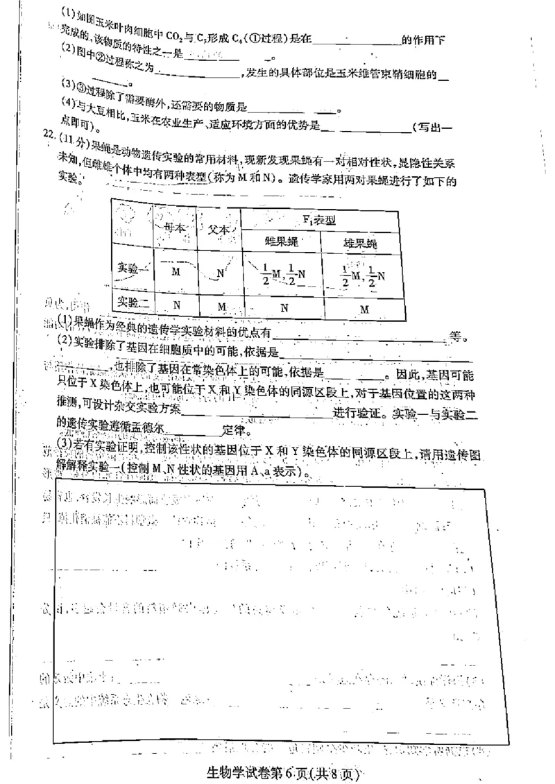 黑龙江省哈尔滨市2022-2023学年高三上学期学业质量监测生物试题(1)_2023年7月_027月合集_2023届黑龙江省哈尔滨市高三8月学业质量监测