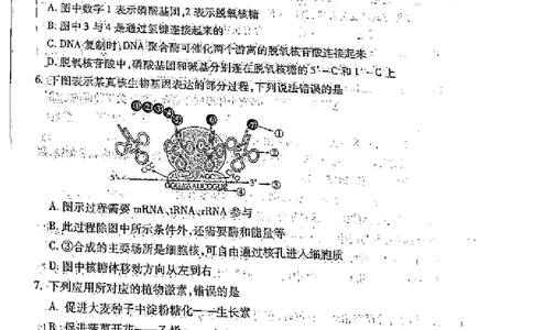 黑龙江省哈尔滨市2022-2023学年高三上学期学业质量监测生物试题(1)_2023年7月_027月合集_2023届黑龙江省哈尔滨市高三8月学业质量监测