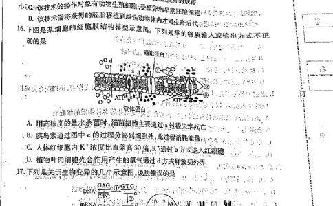 黑龙江省哈尔滨市2022-2023学年高三上学期学业质量监测生物试题(1)_2023年7月_027月合集_2023届黑龙江省哈尔滨市高三8月学业质量监测