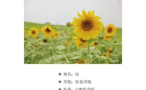 口腔医学专业的学业规划书_E6-职业规划_83口腔医学