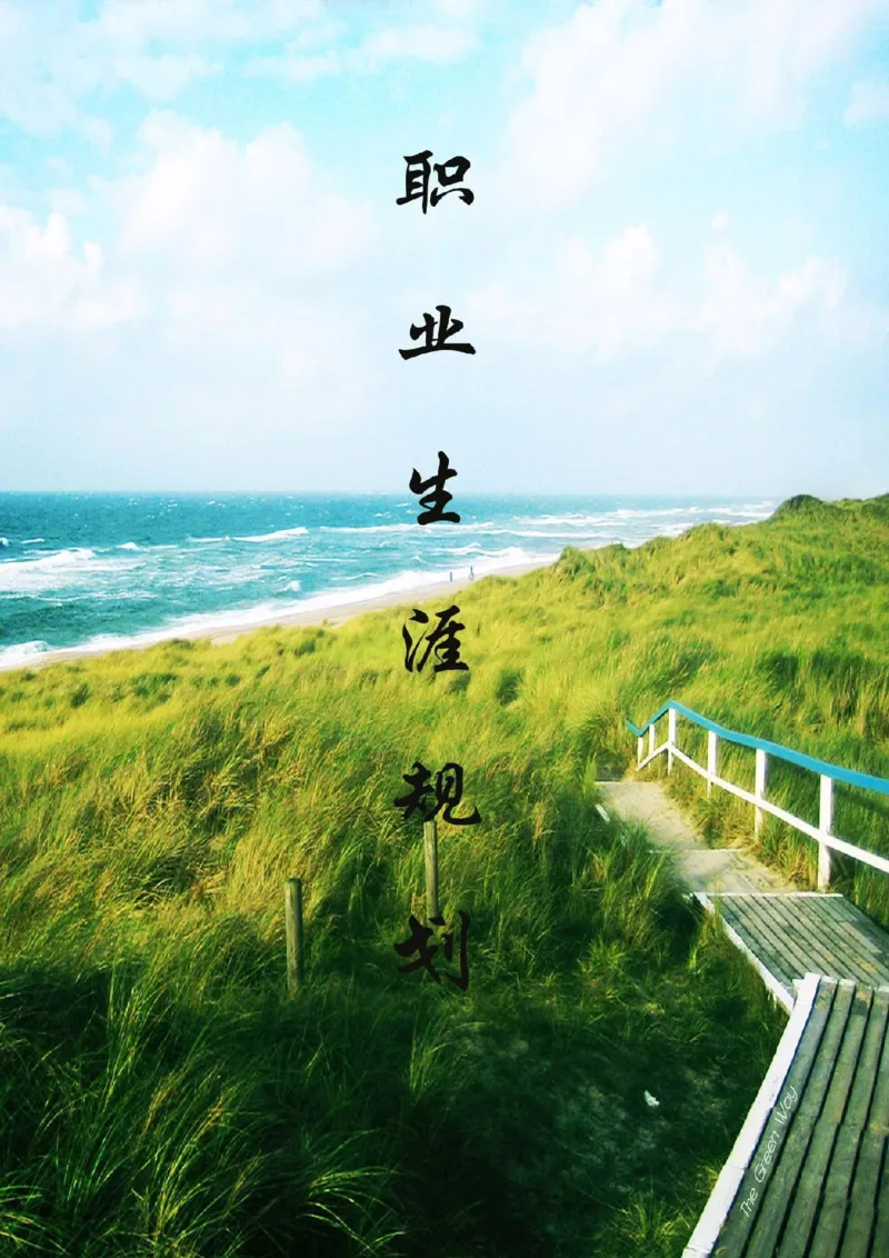 《职业生涯规划》-水利专业_E6-职业规划_100水利专业