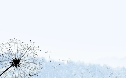 72_10000+PPT模板大礼包_大学生个人简历PPT模板_个人简历-Word版保存下载编辑_四页简历116款