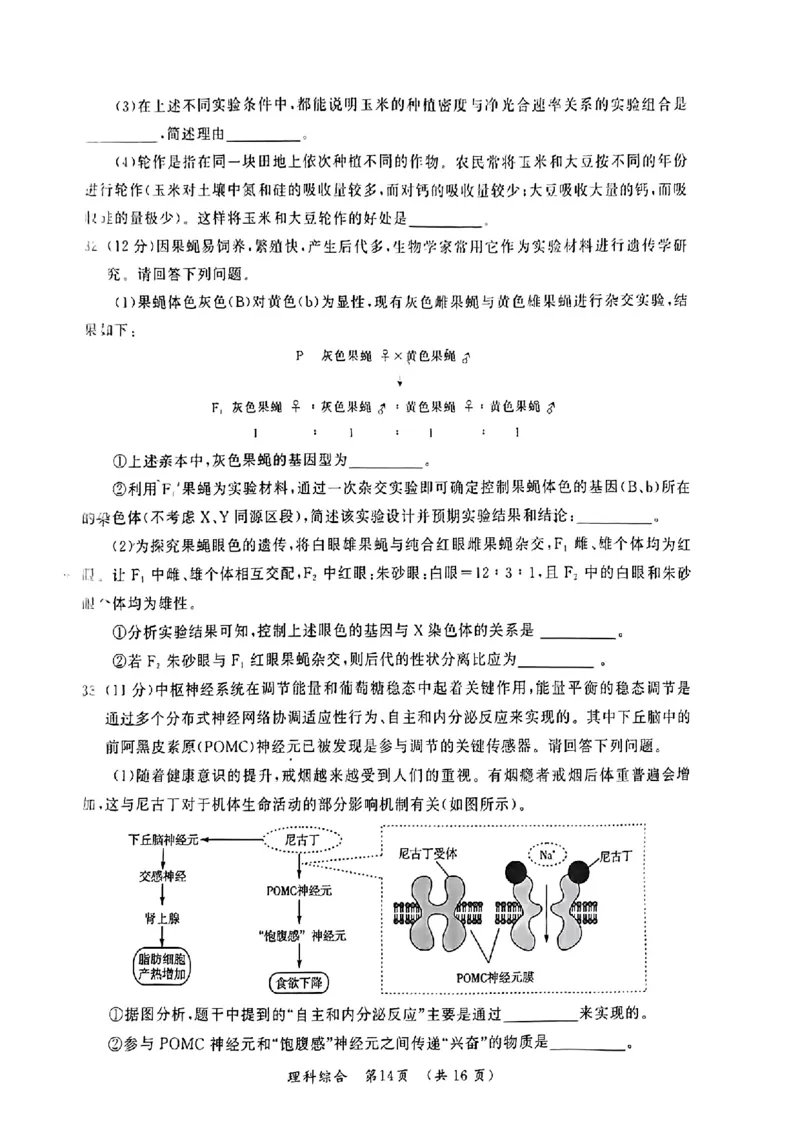 2024届河南省开封市高三下学期第二次质量检测理科综合试题_2024年3月_013月合集_2024届河南省开封市高三下学期第二次质量检测_2024届河南省开封市高三下学期第二次质量检测-理科综合