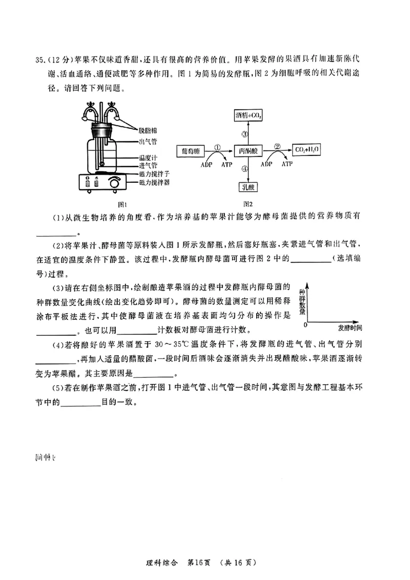 2024届河南省开封市高三下学期第二次质量检测理科综合试题_2024年3月_013月合集_2024届河南省开封市高三下学期第二次质量检测_2024届河南省开封市高三下学期第二次质量检测-理科综合