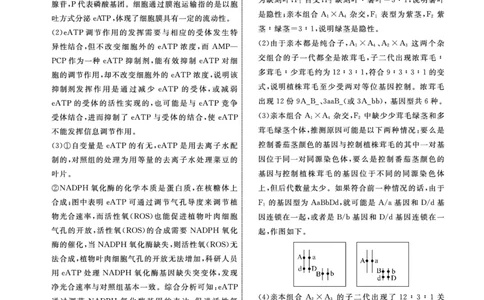 辽宁省名校联盟2023-2024学年高三上学期9月联考生物答案(1)_2023年9月_029月合集_2024届辽宁省名校联盟高三上学期开学统考