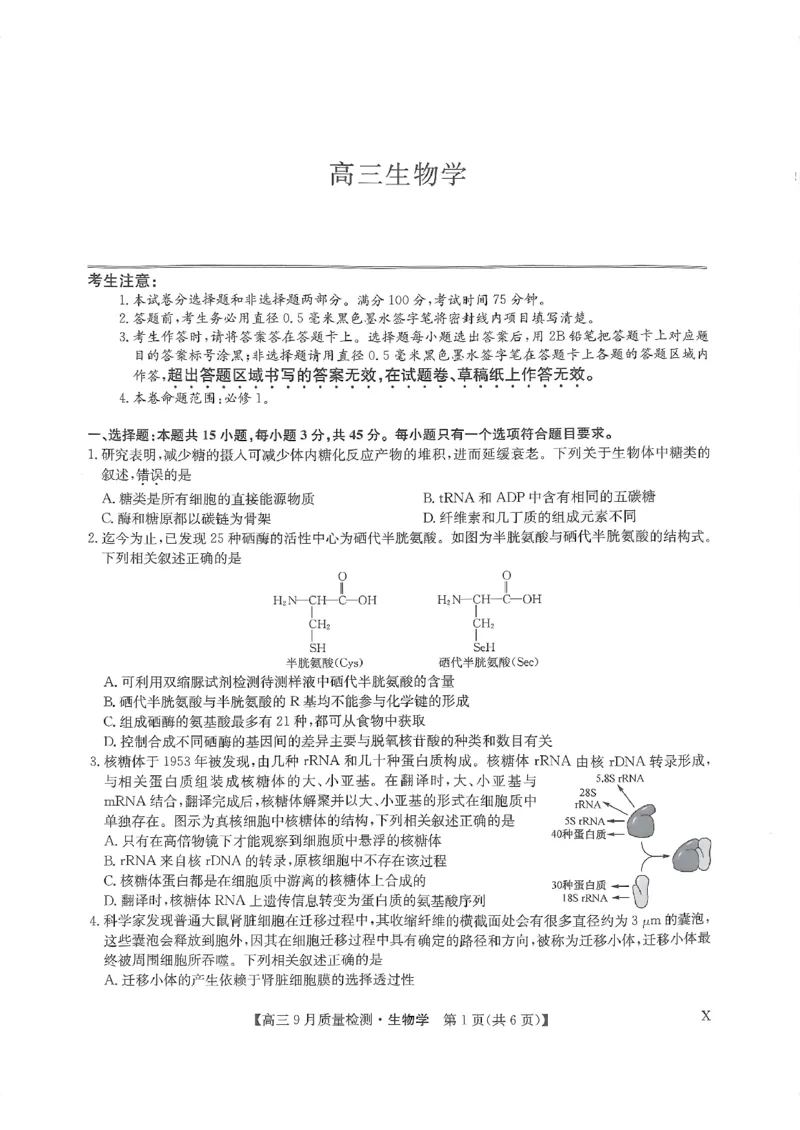 河南省部分名校2023-2024学年高三上学期9月月考生物试题_2023年9月_01每日更新_27号_2024届河南省九师联盟高三9月质量监测（X）_河南省九师联盟204届高三9月质量监测（X）生物