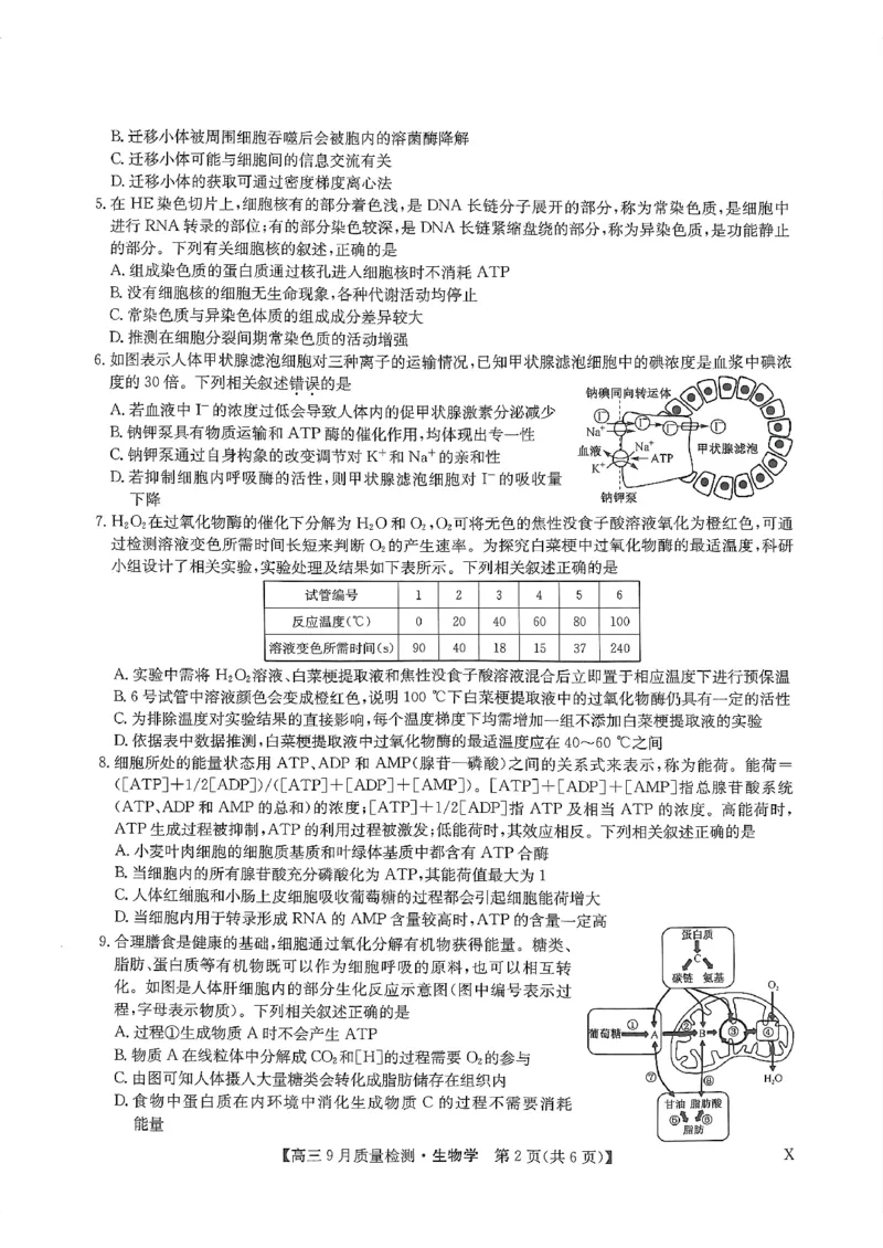 河南省部分名校2023-2024学年高三上学期9月月考生物试题_2023年9月_01每日更新_27号_2024届河南省九师联盟高三9月质量监测（X）_河南省九师联盟204届高三9月质量监测（X）生物