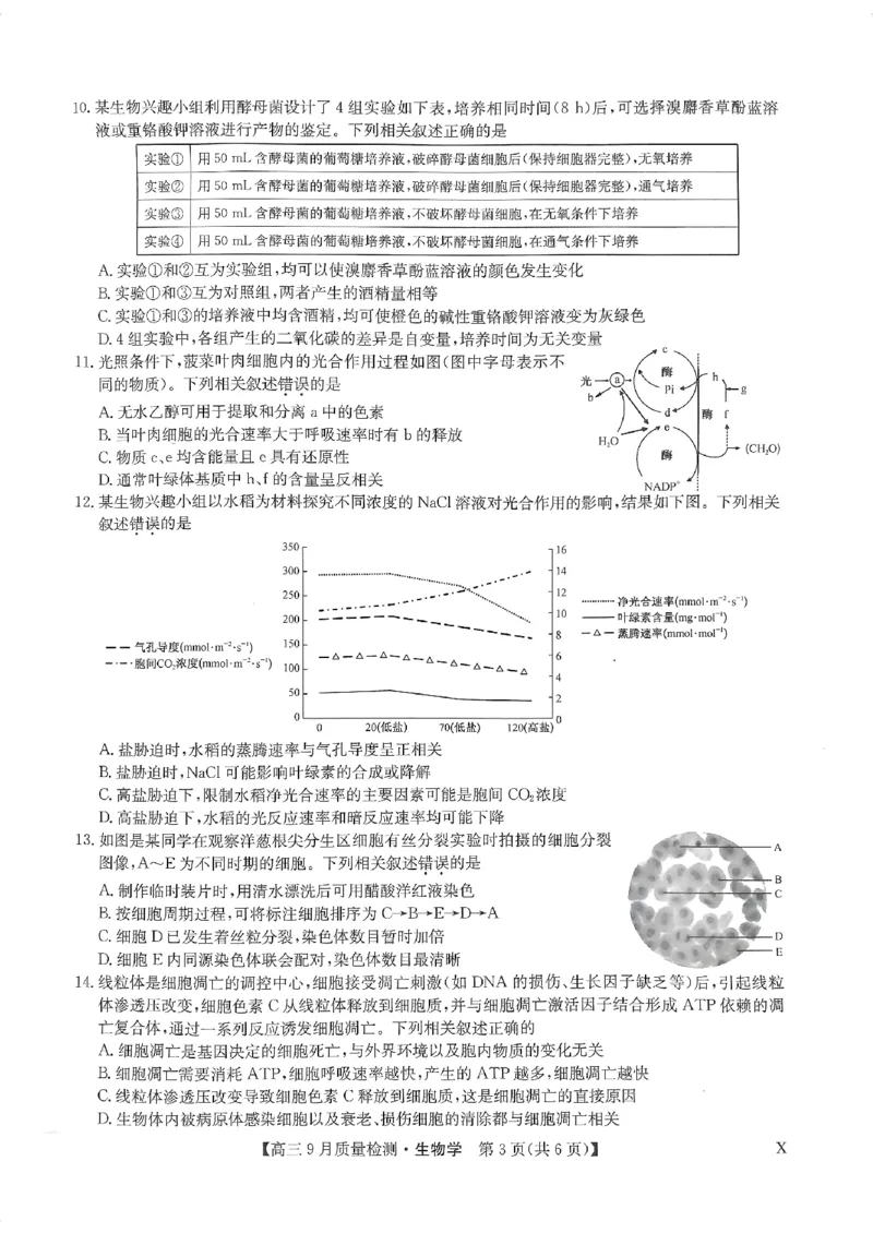 河南省部分名校2023-2024学年高三上学期9月月考生物试题_2023年9月_01每日更新_27号_2024届河南省九师联盟高三9月质量监测（X）_河南省九师联盟204届高三9月质量监测（X）生物