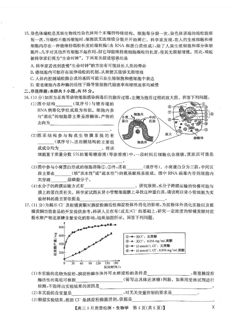 河南省部分名校2023-2024学年高三上学期9月月考生物试题_2023年9月_01每日更新_27号_2024届河南省九师联盟高三9月质量监测（X）_河南省九师联盟204届高三9月质量监测（X）生物