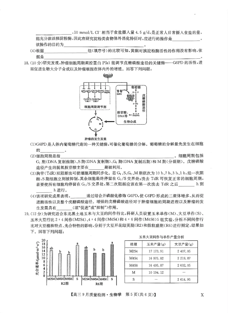 河南省部分名校2023-2024学年高三上学期9月月考生物试题_2023年9月_01每日更新_27号_2024届河南省九师联盟高三9月质量监测（X）_河南省九师联盟204届高三9月质量监测（X）生物