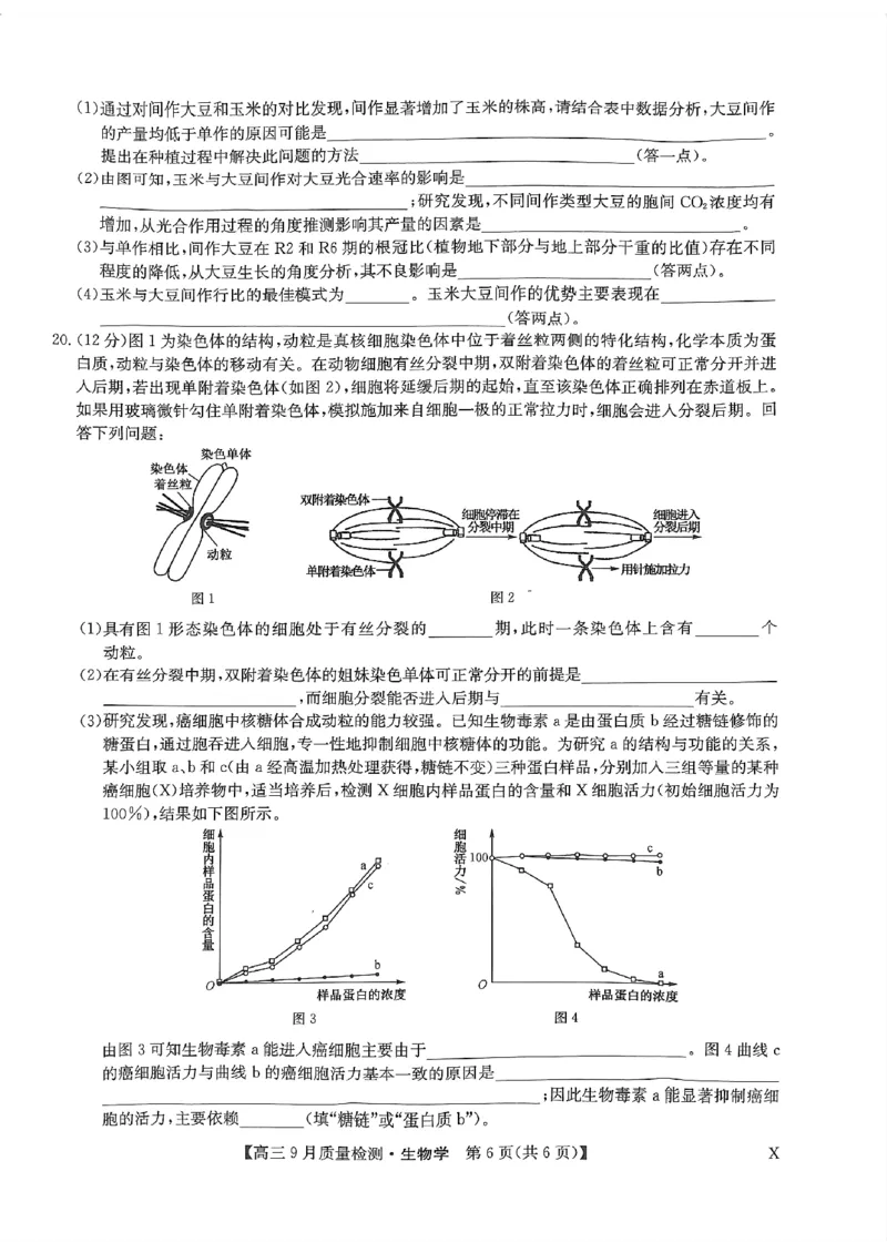 河南省部分名校2023-2024学年高三上学期9月月考生物试题_2023年9月_01每日更新_27号_2024届河南省九师联盟高三9月质量监测（X）_河南省九师联盟204届高三9月质量监测（X）生物