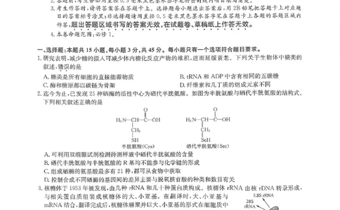 河南省部分名校2023-2024学年高三上学期9月月考生物试题_2023年9月_01每日更新_27号_2024届河南省九师联盟高三9月质量监测（X）_河南省九师联盟204届高三9月质量监测（X）生物