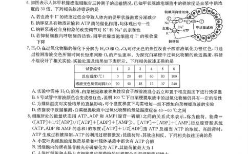 河南省部分名校2023-2024学年高三上学期9月月考生物试题_2023年9月_01每日更新_27号_2024届河南省九师联盟高三9月质量监测（X）_河南省九师联盟204届高三9月质量监测（X）生物