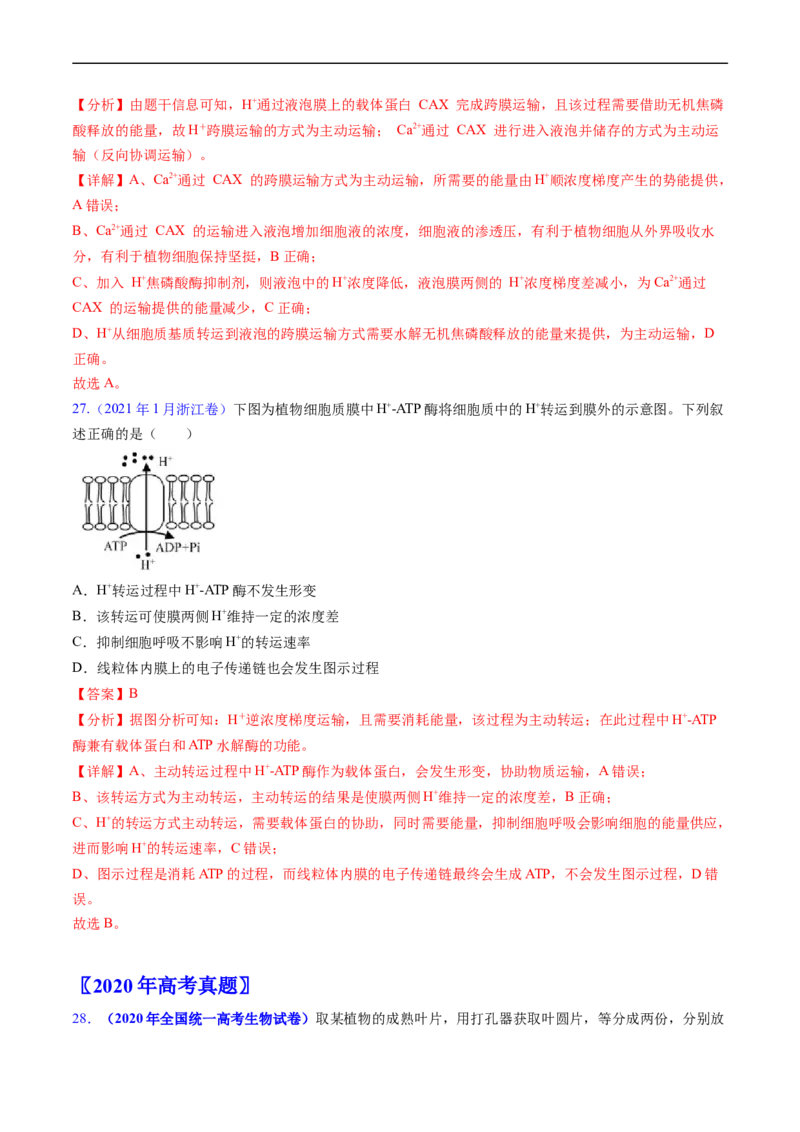 专题03物质运输-五年（2019-2023）高考生物真题分项汇编（全国通用）（解析版）_赠送：2008-2024全套高考真题_高考生物真题_送高考生物五年真题(2019-2023)分项汇编（全国通用）