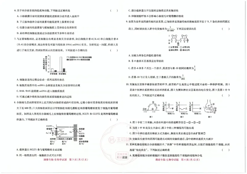 王后雄高考押题预测卷2024湖南专版-生物_2024高考押题卷_22024王hou雄_16王后雄押题_2024年王后雄高考押题预测卷（湖南专版）