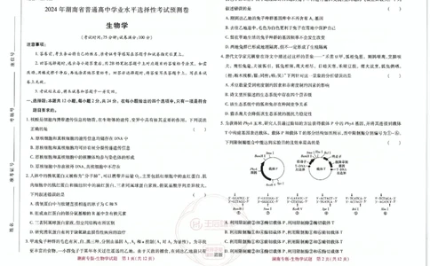 王后雄高考押题预测卷2024湖南专版-生物_2024高考押题卷_22024王hou雄_16王后雄押题_2024年王后雄高考押题预测卷（湖南专版）