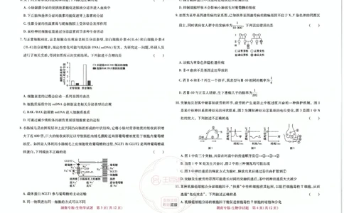 王后雄高考押题预测卷2024湖南专版-生物_2024高考押题卷_22024王hou雄_16王后雄押题_2024年王后雄高考押题预测卷（湖南专版）