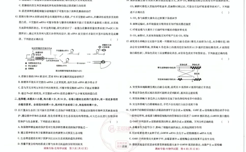 王后雄高考押题预测卷2024湖南专版-生物_2024高考押题卷_22024王hou雄_16王后雄押题_2024年王后雄高考押题预测卷（湖南专版）