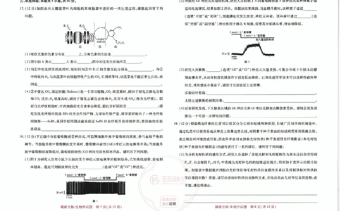 王后雄高考押题预测卷2024湖南专版-生物_2024高考押题卷_22024王hou雄_16王后雄押题_2024年王后雄高考押题预测卷（湖南专版）