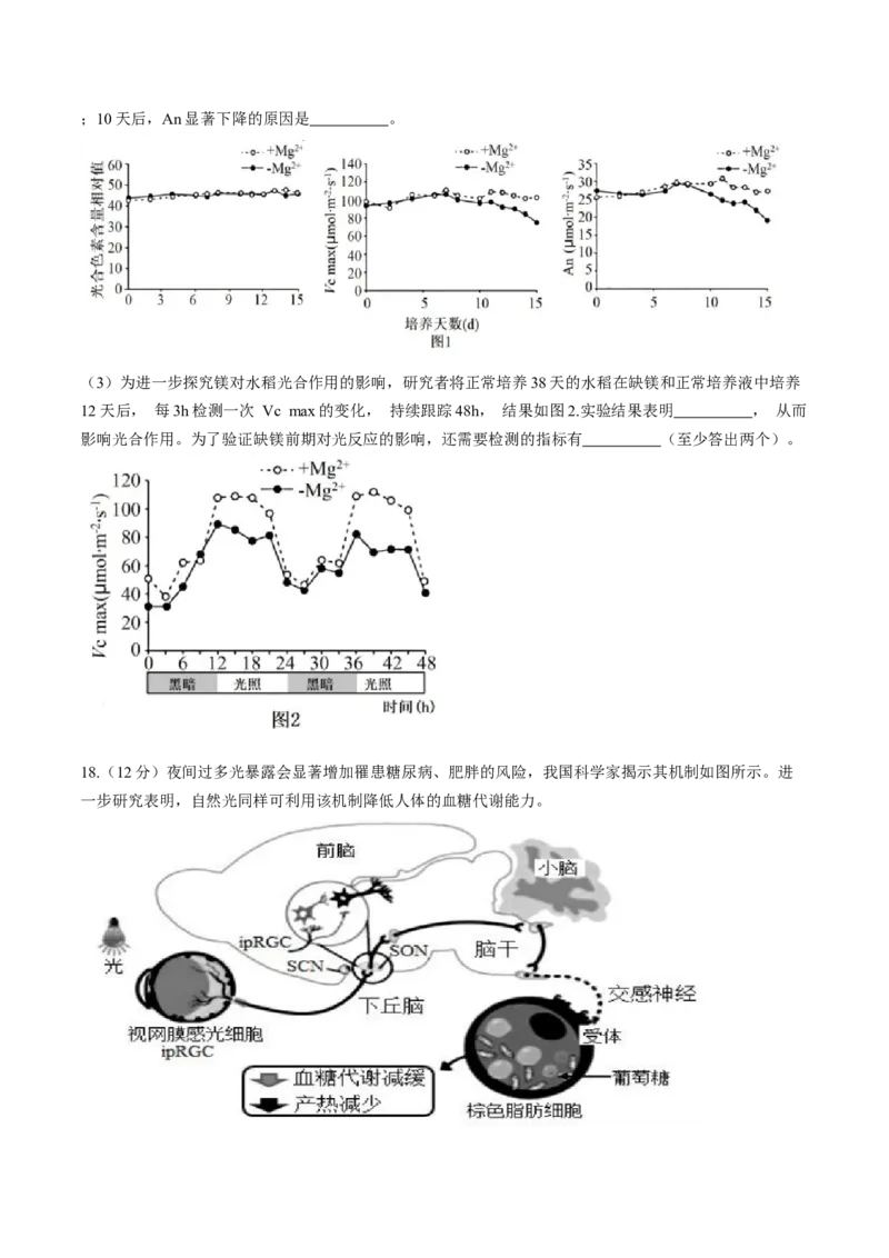 福建省福州市八县市一中2024届高三下学期5月模拟试题生物Word版含答案(1)_2024年6月(1)_026月合集_2024届福建省福州市八县市一中高三5月模拟试题