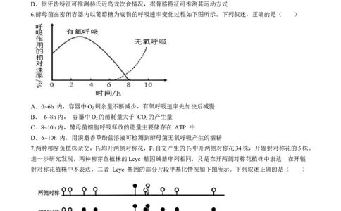 福建省福州市八县市一中2024届高三下学期5月模拟试题生物Word版含答案(1)_2024年6月(1)_026月合集_2024届福建省福州市八县市一中高三5月模拟试题