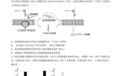 福建省福州市八县市一中2024届高三下学期5月模拟试题生物Word版含答案(1)_2024年6月(1)_026月合集_2024届福建省福州市八县市一中高三5月模拟试题